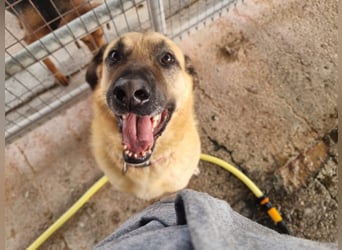 Nikon – Lebensfreude auf drei Beinchen