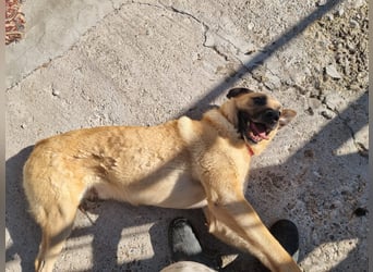 Nikon – Lebensfreude auf drei Beinchen