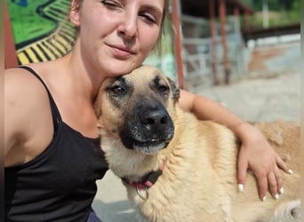 Nikon – Lebensfreude auf drei Beinchen