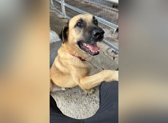 Nikon – Lebensfreude auf drei Beinchen