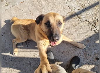 Nikon – Lebensfreude auf drei Beinchen