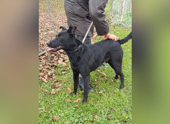 fröhlicher Wirbelwind Riki