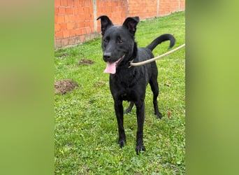 fröhlicher Wirbelwind Riki