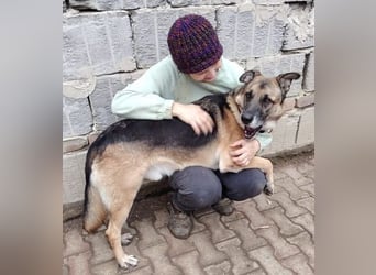 VILLY ist einfach nur lieb