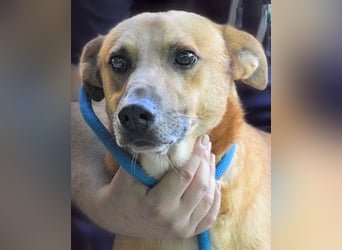 Zaccheo - ist im besten Alter