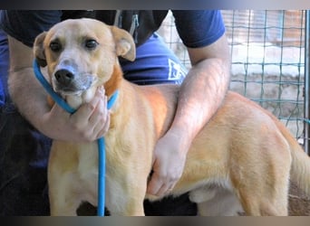 Zaccheo - ist im besten Alter