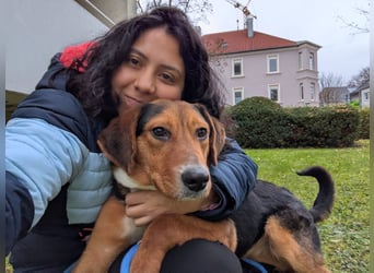 Aron – Manchmal braucht Glück einen Namen!