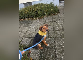 Aron – Manchmal braucht Glück einen Namen!