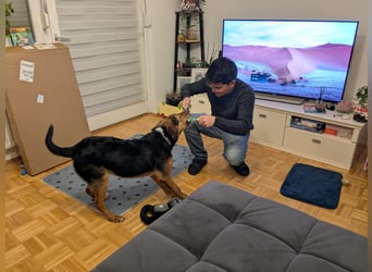 Aron – Manchmal braucht Glück einen Namen!