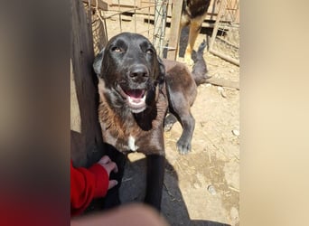 Ina möchte endlich gesehen werden