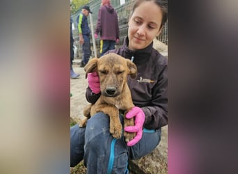 Hubert möchte Abenteuer erleben