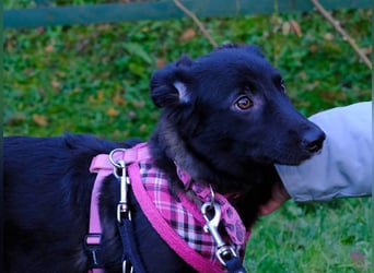 Süße Raya sucht Familie, die ihr Halt gibt