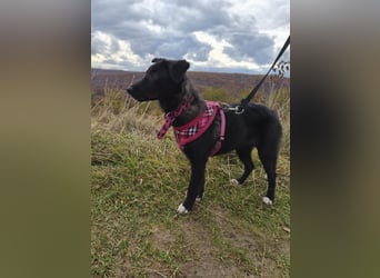 Süße Raya sucht Familie, die ihr Halt gibt