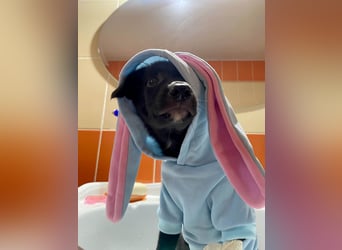 Süße Raya sucht Familie, die ihr Halt gibt