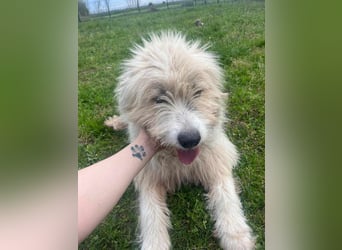 Zelda, geboren 01.06.2022, 62cm sucht ihr Glück