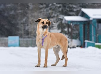 Ruhiger Lutik sucht warmes Körbchen