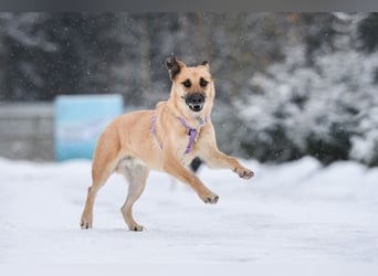 Ruhiger Lutik sucht warmes Körbchen