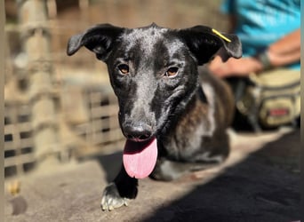 ♥LANA♥ viel zu dünne, sanfte, zarte Seele mit einer stillen und liebevollen Art 52 cm