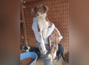 ♥LYRA♥ wunderschöne, ganz liebe, sensible Seele 54 cm