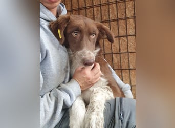 ♥LYRA♥ wunderschöne, ganz liebe, sensible Seele 54 cm