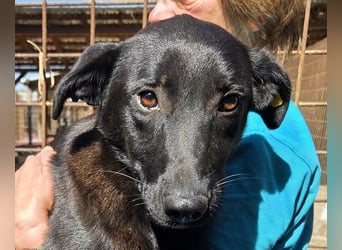 ♥LANA♥ viel zu dünne, sanfte, zarte Seele mit einer stillen und liebevollen Art 52 cm