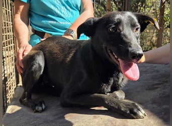 ♥LANA♥ viel zu dünne, sanfte, zarte Seele mit einer stillen und liebevollen Art 52 cm