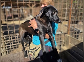 ♥LANA♥ viel zu dünne, sanfte, zarte Seele mit einer stillen und liebevollen Art 52 cm