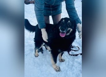 Plusha ❤️Frohnatur sucht Herzensmensch