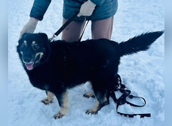 Plusha ❤️Frohnatur sucht Herzensmensch