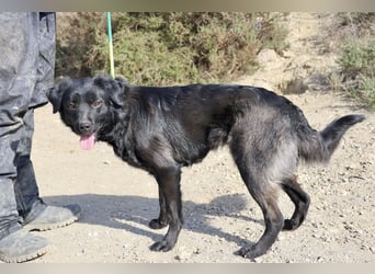 Sila, neugierig, freundlich, lernwillig