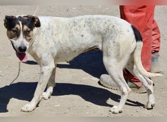 Antonella, sehr sozial, möchte gefallen, aufgeschlossen