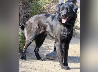 Sila, neugierig, freundlich, lernwillig