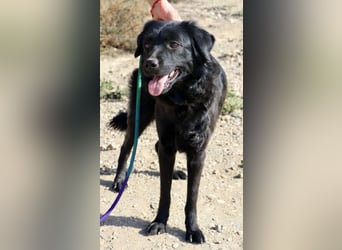 Sila, neugierig, freundlich, lernwillig