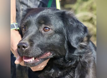 Sila, neugierig, freundlich, lernwillig