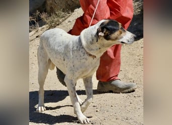 Antonella, sehr sozial, möchte gefallen, aufgeschlossen