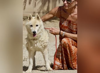 Afri, klug, menschenbezogen und sportlich