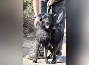 Sila, neugierig, freundlich, lernwillig