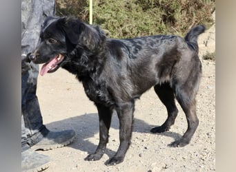 Sila, neugierig, freundlich, lernwillig