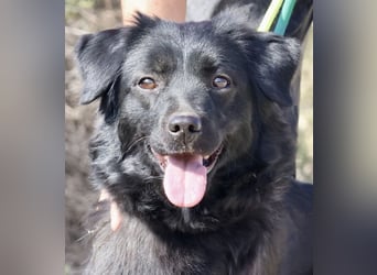 Sila, neugierig, freundlich, lernwillig