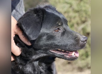 Sila, neugierig, freundlich, lernwillig