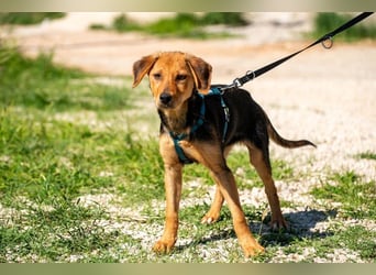 Elara möchte Teil eurer Familie werden