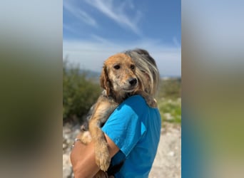 Aimi möchte Teil eurer Familie werden