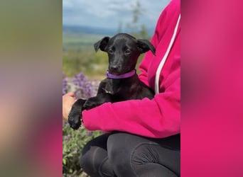 Trudi – eine Freundin fürs Leben