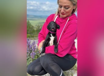 Maria – eine Freundin fürs Leben