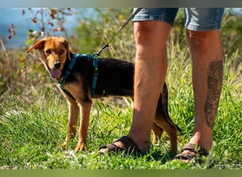 Elara möchte Teil eurer Familie werden