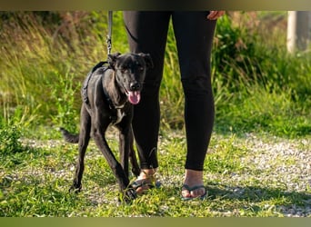 Trudi – eine Freundin fürs Leben