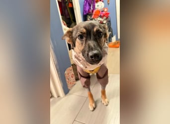 Charmante Betty sucht Familie