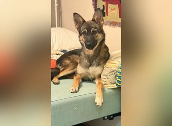 Charmante Betty sucht Familie