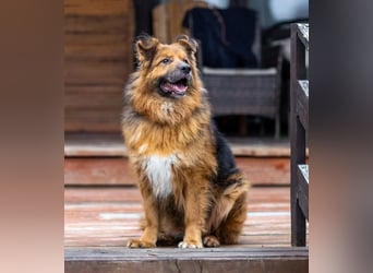 Bekommt Rakhat eine 2.Chance?!