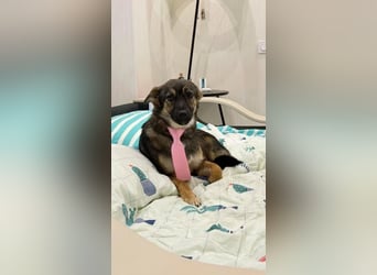 Charmante Betty sucht Familie